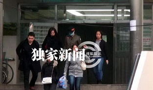 口罩君娱乐,揭秘口罩界的趣味世界