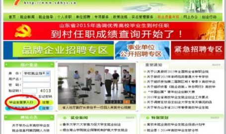 山东大学生就业信息网,助力学子精准求职