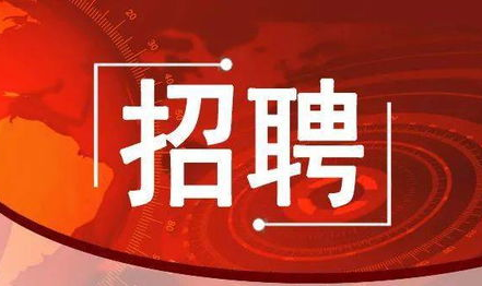 石家庄招聘,千载难逢的职业机遇,共筑美好未来