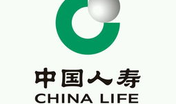 中国人寿保险公司,守护生命,筑梦未来——公司发展概览